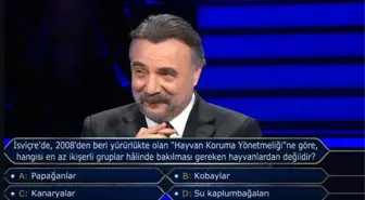 İsviçre'de, 2008'den beri yürürlükte olan 'Hayvan Koruma Yönetmeliği'ne göre, hangisi en az ikişerli gruplar hâlinde bakılması gereken hayvanlardan de