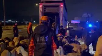 Kayseri'de su baskını riskine karşı 200 hayvan tahliye edildi