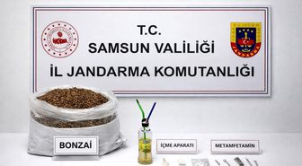 Samsun'da 12 kilo bonzai ele geçirildi