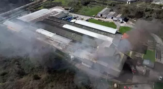 Şekerleme fabrikasında korkutan yangın: Ekipler seferber oldu