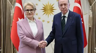 Siyasete dönecek mi? Meral Akşener'den herkesin merak ettiği soruya net yanıt