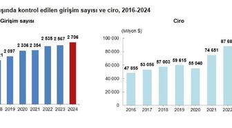 Türkiye'nin yurt dışındaki girişim sayısı arttı