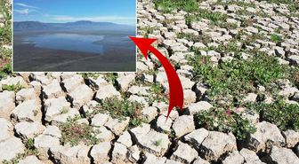 3 ilçeyi besleyen göl yeniden su tutmaya başladı! Her yerden su fışkırıyor