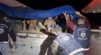 TIR'ın dorsesinde 12 kaçak göçmen yakalandı, 4 organizatör tutuklandı