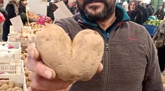 Kalp şeklindeki patates ilgi odağı oldu