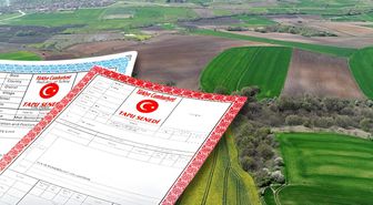 Ortak tapuda satış yapanlar dikkat! Yargıtay'dan kritik karar çıktı