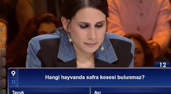 Hangi hayvanda safra kesesi bulunmaz?