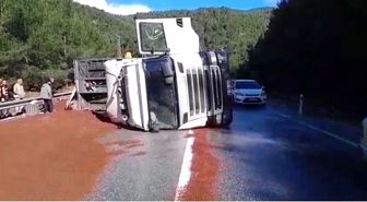 Peyzaj malzemesi yüklü tır devrildi