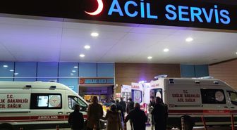 'İstanbul'da kuduz vakalarında patlama' iddialarına valilikten yanıt