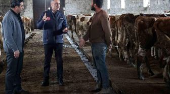 Kars Tarım ve Orman Müdürlüğü sahada: Bayraktar Köyü'nde büyükbaş işletmesine ziyaret