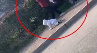Bebek Yere Oturdu, Kadınlar Kavga Etti