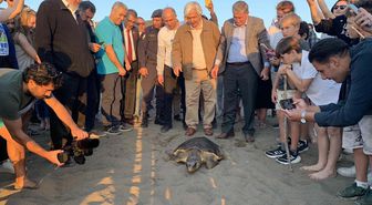 Caretta caretta 'Cumhuriyet'i 10 bin kişi izledi