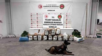 Ağrı'da Gürbulak Sınır Kapısı'nda 51 kilo 520 gram esrar ele geçirildi