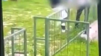 Bodrum'da akran zorbalığı: Çocuğu feci şekilde darbederek bayılttı