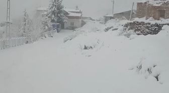 Doğu Karadeniz'de 371 köy ve mahalle yolu kardan kapandı