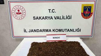 Jandarmadan uyuşturucu operasyonu: 1 tutuklama