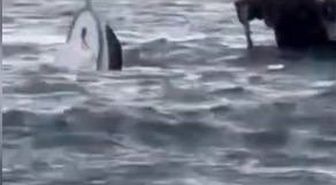 Karaköy'de yolcu vapuru tekneye çarptı; balıkçı denize düştü