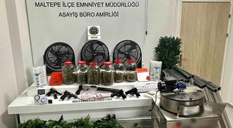 Maltepe'de bir uyuşturucu serası dronla tespit edildi: 3 gözaltı