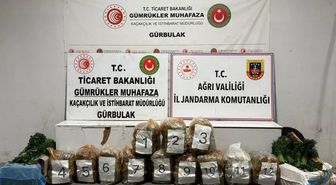 Maydanoz ve dereotu yüklü TIR'dan 51 kilo esrar çıktı