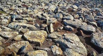 Şanlıurfa'da volkanik bazalt taşlarının altında cephanelik ele geçirildi: 8 gözaltı