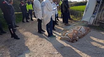 Yaşlı adam tarla komşusunu ezerek öldürdü