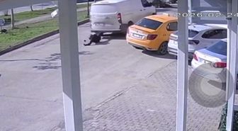 Yolun ortasında cep telefonu ile ilgilenen yayaya kamyonet çarptı
