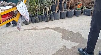 İnegöl'de Zabıta Memurlarına Bıçaklı Saldırı: 1 Yaralı