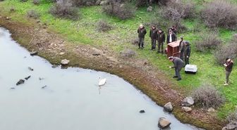 Ankara'da tedavi edilen kuğu, Edirne'de doğaya bırakıldı