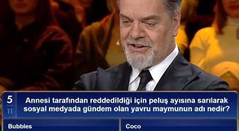 Annesi tarafından reddedildiği için peluş ayısına sarılarak sosyal medyada gündem olan yavru maymunun adı nedir?