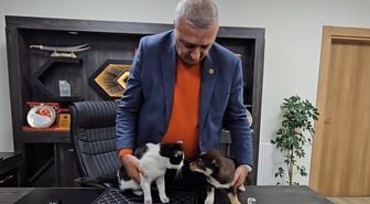 Başkanın makamı Mia ve Fındık'ın yuvası oldu