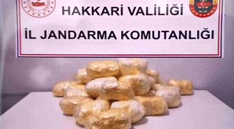 Hakkari'de tırda 15 kilo 263 gram metamfetamin ele geçirildi