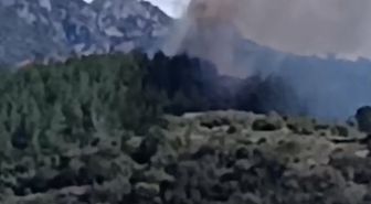 Osmaniye'de orman yangını
