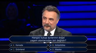 Antarktika'da kutup ayısı var mı, Grönland'da kutup ayısı var mı, Alaska'da kutup ayısı var mı, Kanada'da kutup ayısı var mı?
