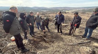 Yangında 10 şehidin verildiği ormanda ağaçlandırma çalışması başlatıldı