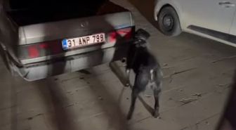 Hatay'da uyuşturucu operasyonu; 3 tutuklama