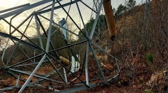Arhavi'de 1 Milyon Lira Değerinde Bakır Kablo Çalan Şüpheliler Tutuklandı