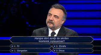 Fil, Zürafa, Gergedan, Deve dört ayağı da yerden kesilerek zıplayabilir mi?
