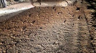 Mazıdağı'nda otomobil takla attı: 5 yaralı