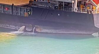 Mersin Limanı'nda Kirli Balast Deşarjı Yapan Gemiyi 13 Milyon TL Cezası