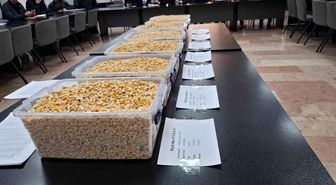 TİGEM'in 13,5 bin tonluk mısır satışı GTB'de gerçekleşti