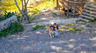 Antalya'da sahipsiz köpeğin saldırısına uğrayan 7 yaşındaki çocuk hastanelik oldu