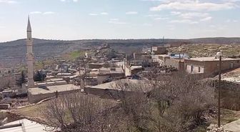 İnekteki kuduz şüphesi nedeniyle mahalle karantinaya alındı