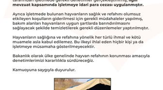 Bakanlıktan, işletmede hayvanlara kötü muameleye ceza