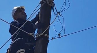 Elektrik direğinde mahsur kalan kediyi ekipler kurtardı