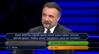 Eylül 2025'te coğrafi işaret tescili kabul edilen ürünün adında geçen 'Hatay sarısı' hangisinin yerel bir türüdür?