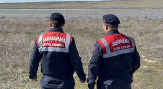 Jandarma flamingolar için 24 saat mesaide