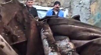 Kars'ta ahır çöktü, çoban son anda kurtuldu