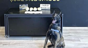 Ocak ayının en başarılı narkotik köpeği 'Jardi' oldu