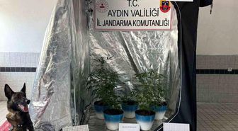 Jandarma narkotik affetmedi