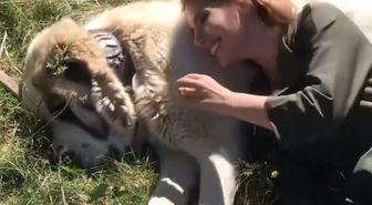Köpeği seviyordu, sonu faciayla bitti